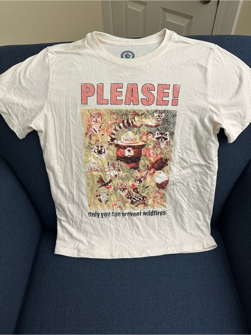 Smokey Bear 'Please!' Graphic Kids off-White T-Shirt